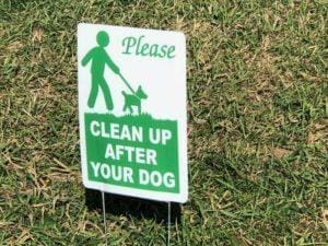 Please Clean Up After Your Dog Sign